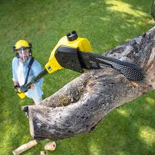 Best Organic Lawn Care Solutions  in Bloomsburg, PA