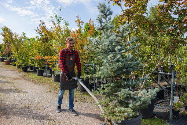 Best Tree Maintenance Programs  in Bloomsburg, PA